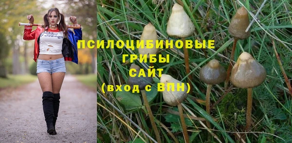 дурь Армянск