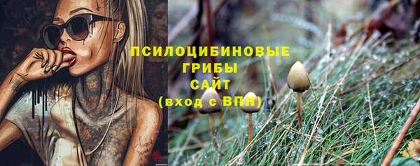 дурь Армянск