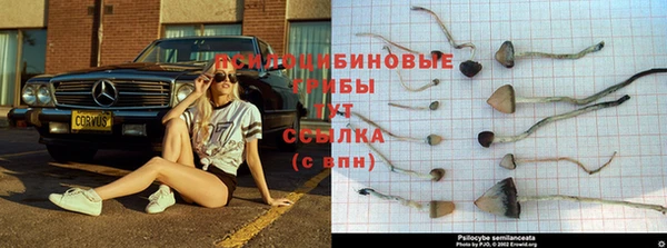 прущий лед Аркадак