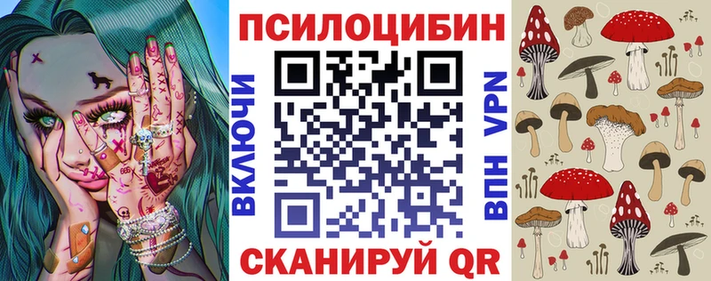 Галлюциногенные грибы Psilocybe  Аткарск 
